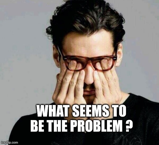 Reacting to Liberals | WHAT SEEMS TO BE THE PROBLEM ? | image tagged in reacting to liberals | made w/ Imgflip meme maker