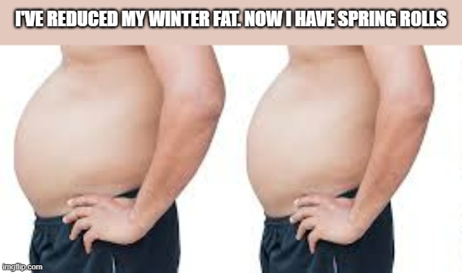 I've lost weight. My winter fat is now my spring rollls. | I'VE REDUCED MY WINTER FAT. NOW I HAVE SPRING ROLLS | image tagged in funny,fun,fat,diet,humor,weight loss | made w/ Imgflip meme maker