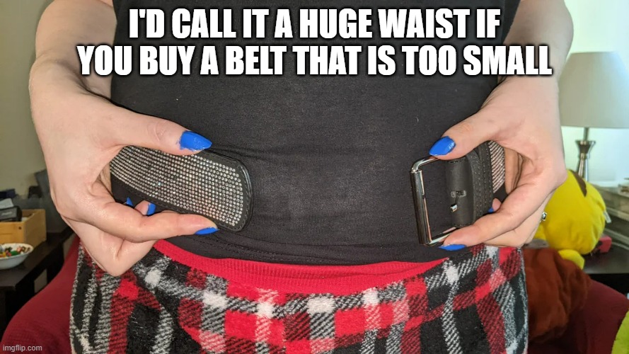 It's a huge waist if you buy a belt that is too small.  - funny - | I'D CALL IT A HUGE WAIST IF YOU BUY A BELT THAT IS TOO SMALL | image tagged in funny,fun,overweight,belt,humor,play on words | made w/ Imgflip meme maker