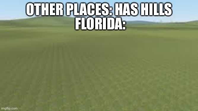 And that’s where I live. | OTHER PLACES: HAS HILLS; FLORIDA: | image tagged in flatgrass | made w/ Imgflip meme maker