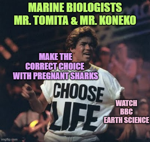Wham! | MARINE BIOLOGISTS
MR. TOMITA & MR. KONEKO; MAKE THE CORRECT CHOICE 
WITH PREGNANT SHARKS; WATCH
BBC
EARTH SCIENCE | image tagged in wham | made w/ Imgflip meme maker