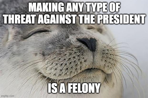 Satisfied Seal Meme | MAKING ANY TYPE OF THREAT AGAINST THE PRESIDENT IS A FELONY | image tagged in memes,satisfied seal | made w/ Imgflip meme maker