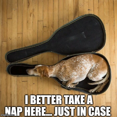 I Better Take A Nap Here... Just In Case | I BETTER TAKE A NAP HERE... JUST IN CASE | image tagged in chrisjoines1 | made w/ Imgflip meme maker