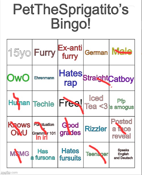 Boar ed | In irl | image tagged in petthesprigatito s bingo | made w/ Imgflip meme maker