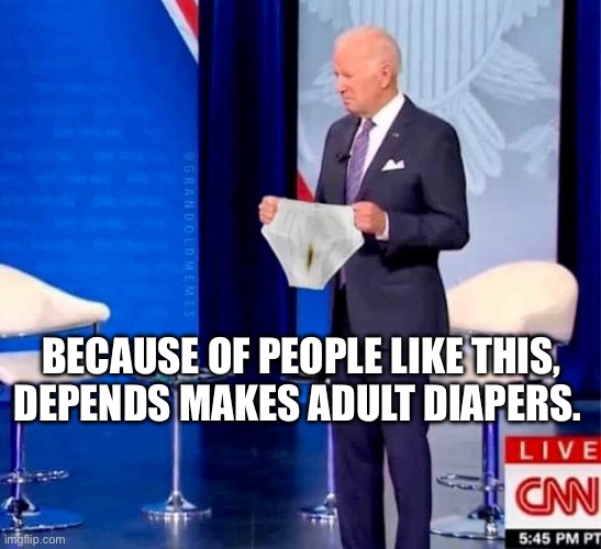 Biden's poopy underwear | BECAUSE OF PEOPLE LIKE THIS, DEPENDS MAKES ADULT DIAPERS. | image tagged in biden's poopy underwear | made w/ Imgflip meme maker