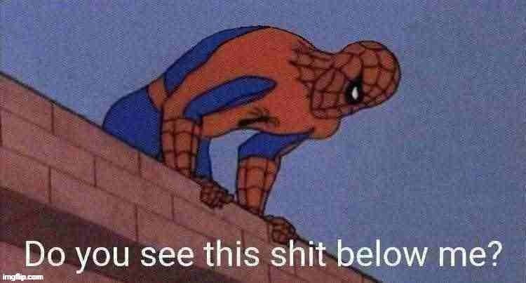 Do you see this shit below me? | image tagged in do you see this shit below me | made w/ Imgflip meme maker