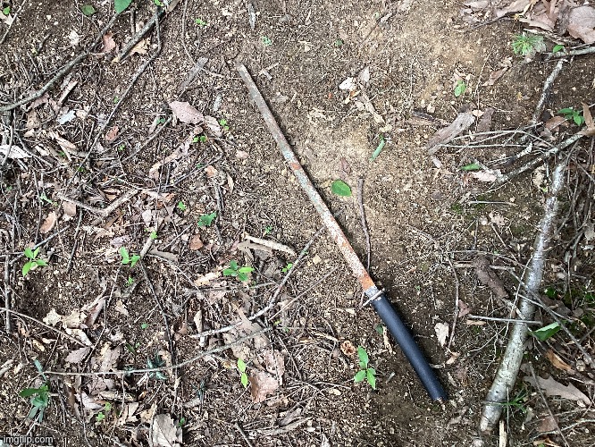 I was walking through the forest and I found this | made w/ Imgflip meme maker