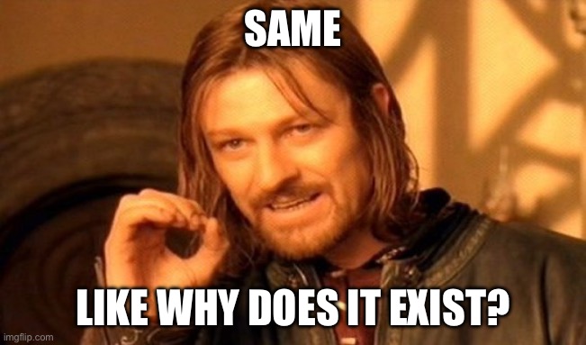 One Does Not Simply Meme | SAME LIKE WHY DOES IT EXIST? | image tagged in memes,one does not simply | made w/ Imgflip meme maker