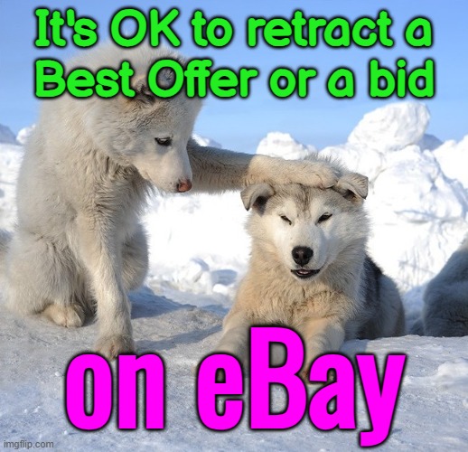 It's OK to retract a Best Offer or a bid on eBay | It's OK to retract a
Best Offer or a bid; on eBay | image tagged in it's ok,ebay,buy,internet,because capitalism,money money | made w/ Imgflip meme maker