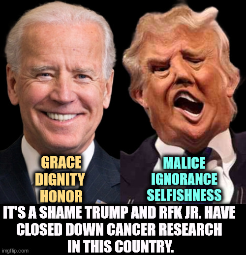 The cures for cancer are waiting for us, but not with Trump and RFK Jr. in charge. Kill the NIH to fund tax cuts for the rich! | GRACE
DIGNITY 
HONOR; MALICE
IGNORANCE
SELFISHNESS; IT'S A SHAME TRUMP AND RFK JR. HAVE 
CLOSED DOWN CANCER RESEARCH 
IN THIS COUNTRY. | image tagged in ivermectin,hydroxychloroquine,rfk jr,cancer,joe biden,tax cuts for the rich | made w/ Imgflip meme maker