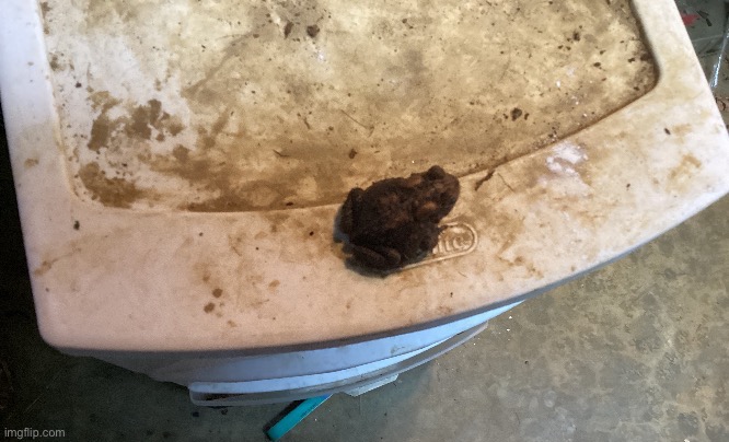 Goofy ahh | made w/ Imgflip meme maker