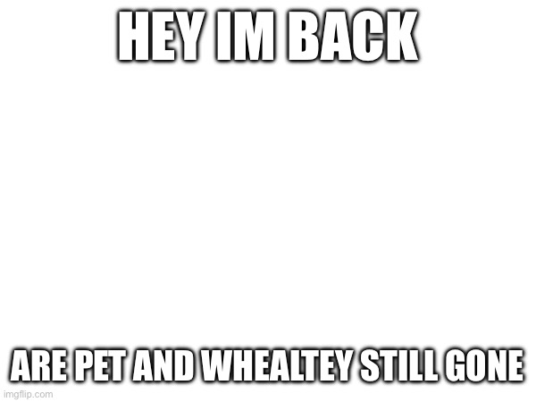 HEY IM BACK; ARE PET AND WHEALTEY STILL GONE | made w/ Imgflip meme maker