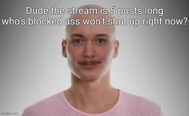 Bald Jimmyhere | Dude the stream is 5 posts long who's blocked ass won't shut up right now? | image tagged in bald jimmyhere | made w/ Imgflip meme maker