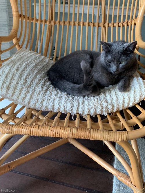 Goes hard | made w/ Imgflip meme maker