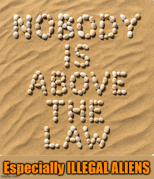 Especially ILLEGAL ALIENS | made w/ Imgflip meme maker