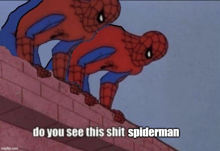 Do you see this shit spiderman | image tagged in do you see this shit spiderman | made w/ Imgflip meme maker