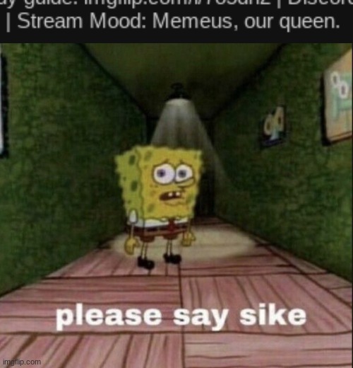 . | image tagged in please say sike | made w/ Imgflip meme maker