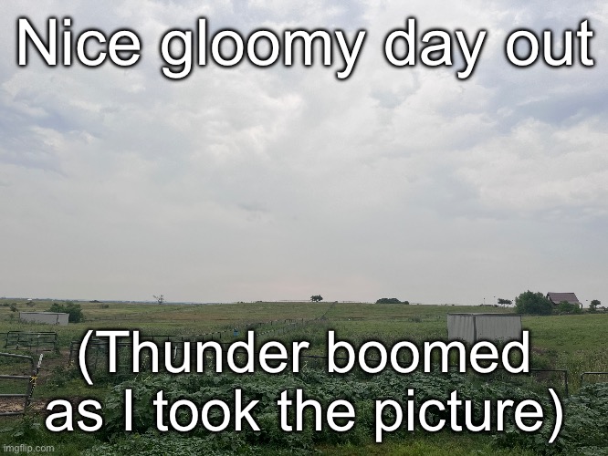 Nice gloomy day out; (Thunder boomed as I took the picture) | made w/ Imgflip meme maker