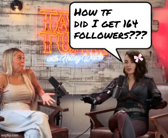 Talk Tuah guest, Stormfront | How tf did I get 164 followers??? | image tagged in talk tuah guest stormfront | made w/ Imgflip meme maker