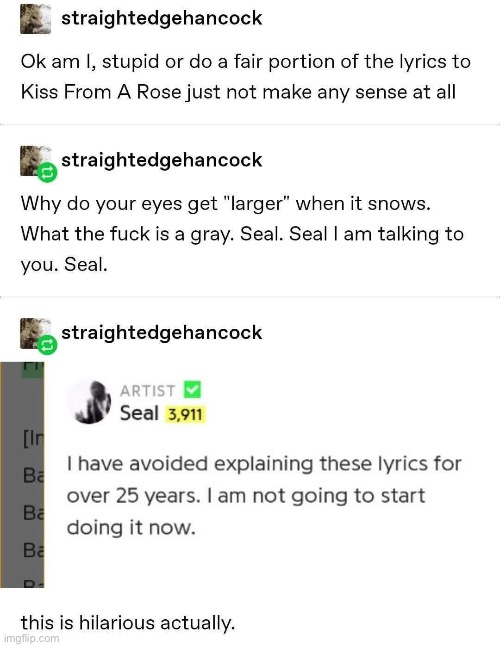 Kiss from Seal | image tagged in seal,kiss,rose | made w/ Imgflip meme maker