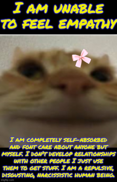 Front-Facing Camera Cat | I am unable to feel empathy; I am completely self-absorbed and font care about anyone but myself. I don't develop relationships with other people I just use them to get stuff. I am a repulsive, disgusting, narcissistic human being. | image tagged in front-facing camera cat | made w/ Imgflip meme maker