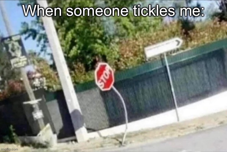 Ticklish me | When someone tickles me: | image tagged in tickle,tickle me elmo,stop | made w/ Imgflip meme maker