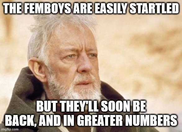 Obi Wan Kenobi Meme | THE FEMBOYS ARE EASILY STARTLED; BUT THEY'LL SOON BE BACK, AND IN GREATER NUMBERS | image tagged in memes,obi wan kenobi | made w/ Imgflip meme maker