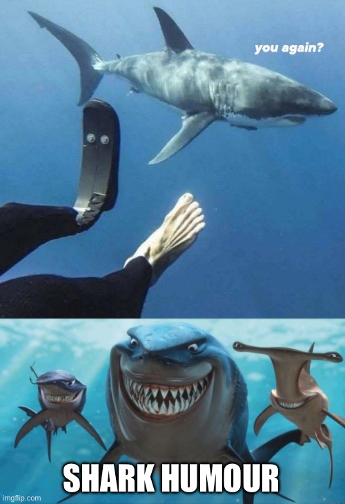 Shark Humour | SHARK HUMOUR | image tagged in finding nemo sharks,shark,legs,im back | made w/ Imgflip meme maker