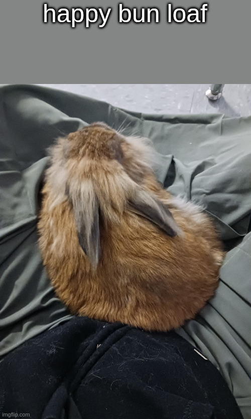 happy bun loaf | made w/ Imgflip meme maker
