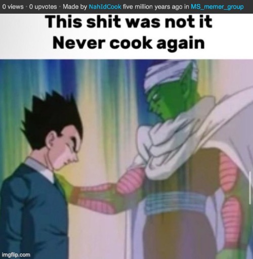 WHO LET HIM COOK | image tagged in you did not cook,no just no,why,stop,funny | made w/ Imgflip meme maker