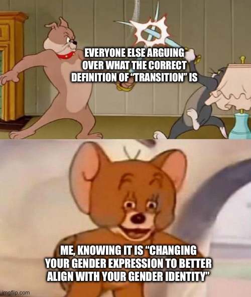 Tom and Jerry swordfight | EVERYONE ELSE ARGUING OVER WHAT THE CORRECT DEFINITION OF “TRANSITION” IS; ME, KNOWING IT IS “CHANGING YOUR GENDER EXPRESSION TO BETTER ALIGN WITH YOUR GENDER IDENTITY” | image tagged in tom and jerry swordfight | made w/ Imgflip meme maker