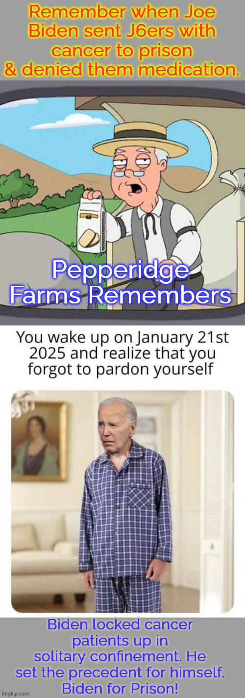 Biden for prison. He deserves it. | Remember when Joe Biden sent J6ers with cancer to prison & denied them medication. Pepperidge Farms Remembers; Biden locked cancer patients up in solitary confinement. He set the precedent for himself.
Biden for Prison! | image tagged in memes,pepperidge farm remembers,shame biden pardoned his crime family,forgot to pardon himself | made w/ Imgflip meme maker