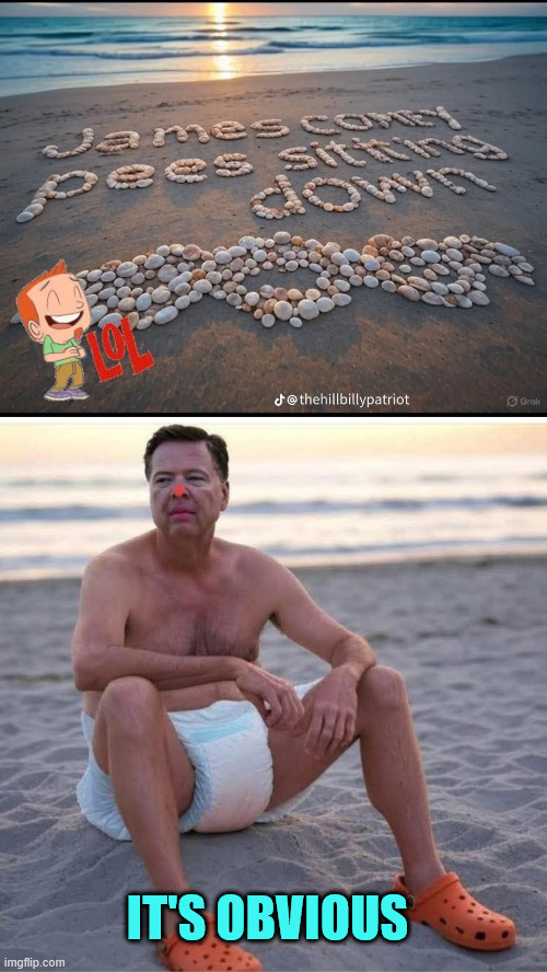 The water was too cold... | IT'S OBVIOUS | image tagged in comey,the water was too cold | made w/ Imgflip meme maker