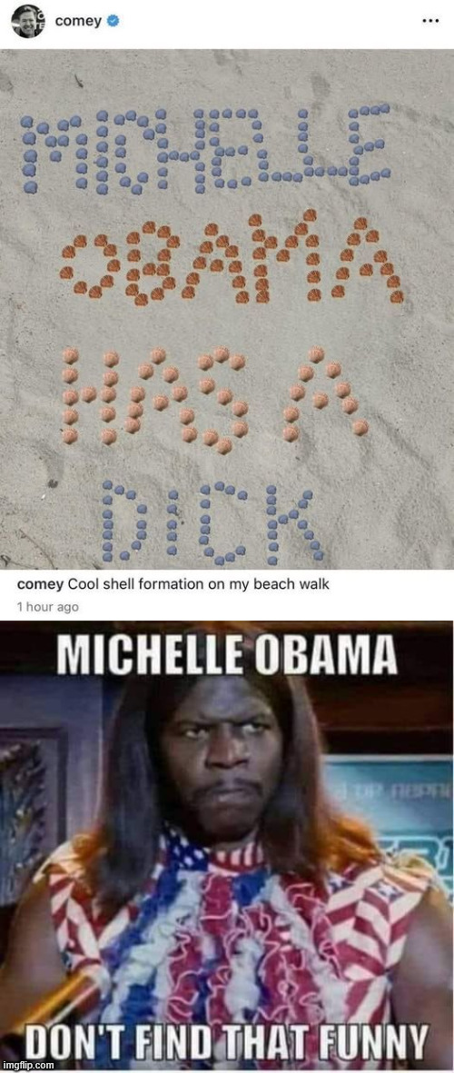 Big Mike is not amused | image tagged in comey,cool shell formation | made w/ Imgflip meme maker