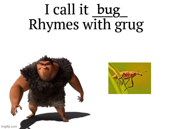 I call it ____ right font | bug | image tagged in i call it ____ right font | made w/ Imgflip meme maker