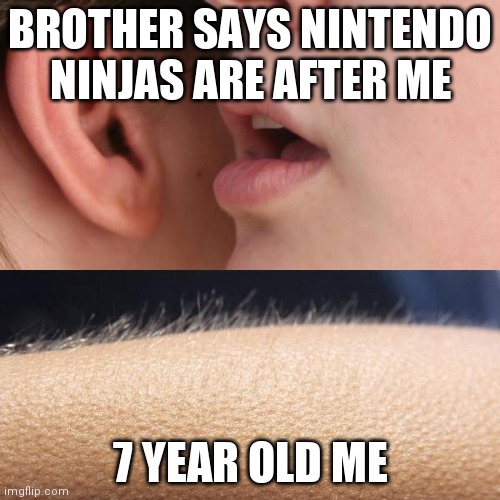 true | BROTHER SAYS NINTENDO NINJAS ARE AFTER ME; 7 YEAR OLD ME | image tagged in whisper and goosebumps | made w/ Imgflip meme maker