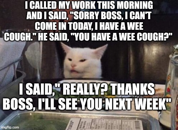 Smudge that darn cat | I CALLED MY WORK THIS MORNING AND I SAID, "SORRY BOSS, I CAN'T COME IN TODAY, I HAVE A WEE COUGH." HE SAID, "YOU HAVE A WEE COUGH?"; I SAID," REALLY? THANKS BOSS, I'LL SEE YOU NEXT WEEK" | image tagged in smudge that darn cat | made w/ Imgflip meme maker