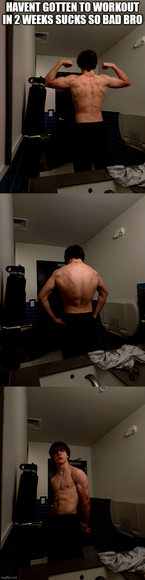 HAVENT GOTTEN TO WORKOUT IN 2 WEEKS SUCKS SO BAD BRO | made w/ Imgflip meme maker