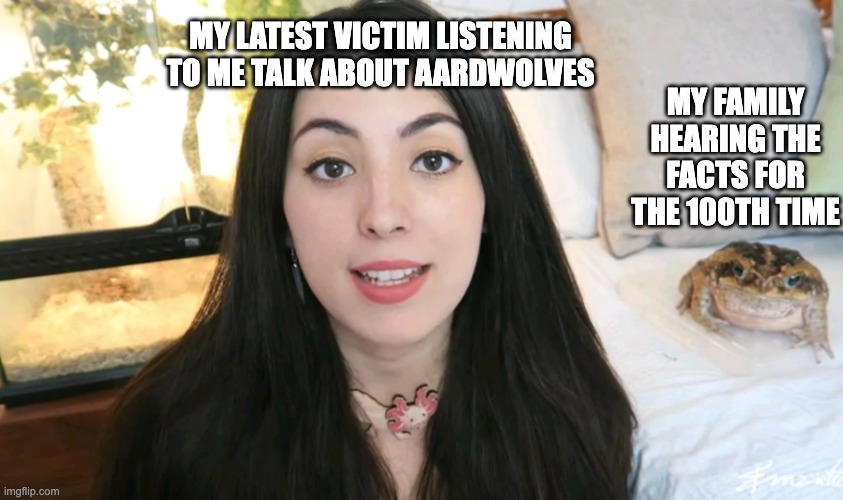 dead inside & frog | MY LATEST VICTIM LISTENING TO ME TALK ABOUT AARDWOLVES; MY FAMILY HEARING THE FACTS FOR THE 100TH TIME | image tagged in memes,reaction,frog,grumpy toad,youtuber | made w/ Imgflip meme maker