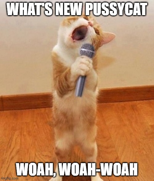 WHAT'S NEW PUSSYCAT WOAH, WOAH-WOAH | image tagged in happy birthday day maureeeennn from the singing cat | made w/ Imgflip meme maker