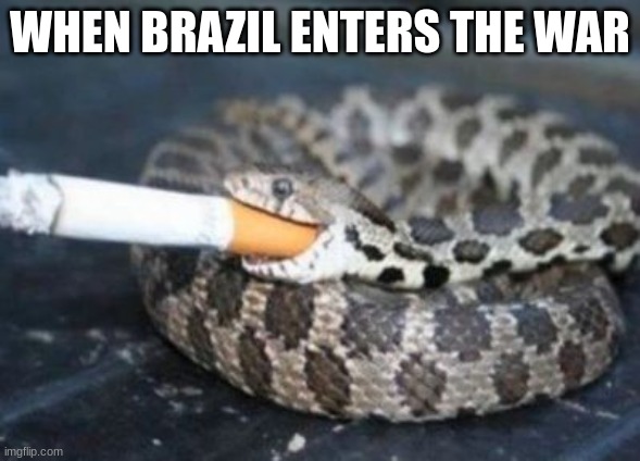 Smoking Snake | WHEN BRAZIL ENTERS THE WAR | image tagged in smoking snake | made w/ Imgflip meme maker