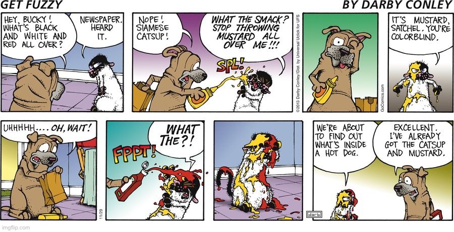 image tagged in comics,get fuzzy,cat and dog,condiments | made w/ Imgflip meme maker