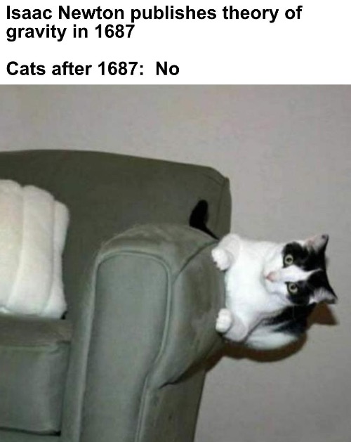 Gravity | image tagged in cats,funny cats,gravity,no,defying logic,rebellion | made w/ Imgflip meme maker