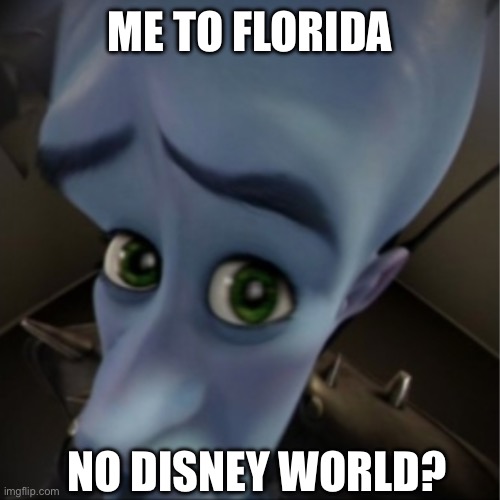 Megamind peeking | ME TO FLORIDA; NO DISNEY WORLD? | image tagged in megamind peeking | made w/ Imgflip meme maker