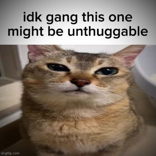 idk gang this one might be unthugable | image tagged in idk gang this one might be unthugable | made w/ Imgflip meme maker