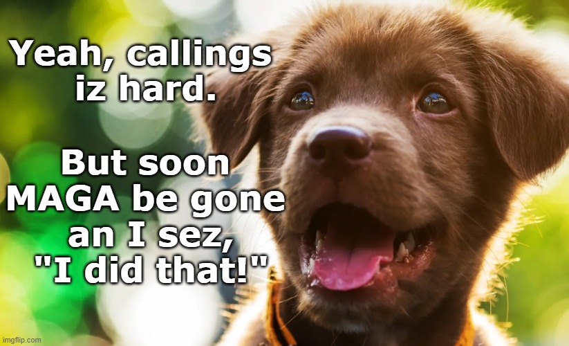 Pup I did that! | Yeah, callings 
iz hard. But soon 
MAGA be gone 
an I sez,
"I did that!" | image tagged in calling iz hard,i did that,soon maga gone | made w/ Imgflip meme maker