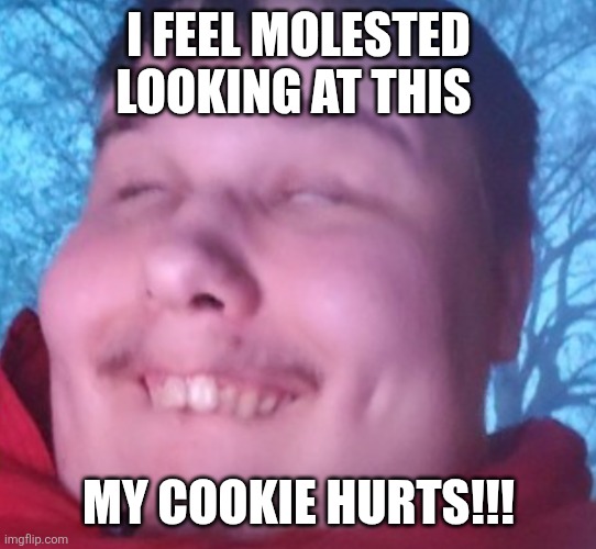 Uh oh I dont feel Dat cookie | I FEEL MOLESTED LOOKING AT THIS; MY COOKIE HURTS!!! | image tagged in my cookie hurts | made w/ Imgflip meme maker