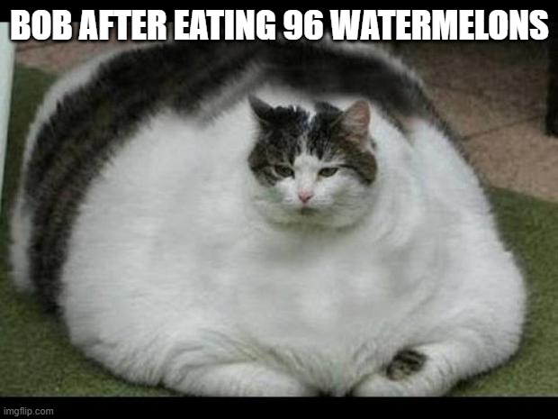 fat cat 2 | BOB AFTER EATING 96 WATERMELONS | image tagged in fat cat 2 | made w/ Imgflip meme maker