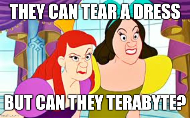 A question about Anastasia and Drizella | THEY CAN TEAR A DRESS; BUT CAN THEY TERABYTE? | image tagged in disney,anastasia,drizella,pun,wordplay,computer | made w/ Imgflip meme maker
