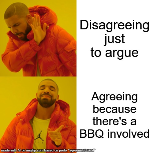 they're the same thing!!!??? | Disagreeing just to argue; Agreeing because there's a BBQ involved | image tagged in memes,drake hotline bling,by memedian,nothing makes one feel,_______/_________,thxs20flws | made w/ Imgflip meme maker